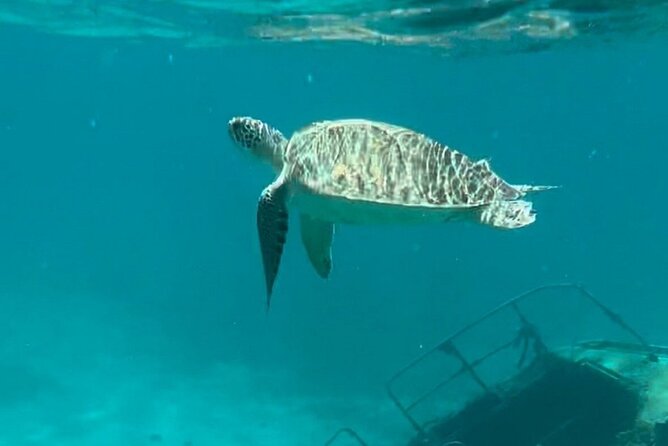 Sail and Snorkel Private Charter - Half Day Morning - Why this four-hour St Thomas charter feels different