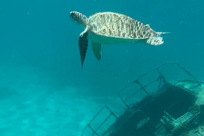 Sail and Snorkel Private Charter - Mid-Day Sail 1230pm to Sunset - A vintage sailing vessel with room to relax