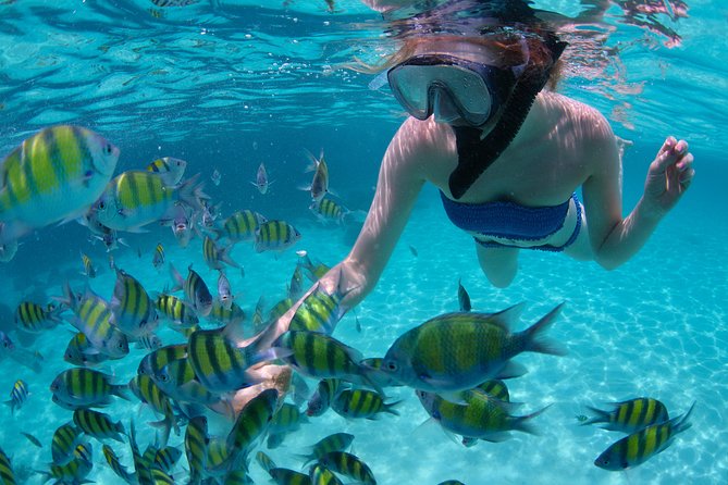 Sail/Snorkel Adventure from Sapphire Marina,STT NO CROWDS~ 6 GUEST MAX - Why the six-person Cosmos Mariner feels different