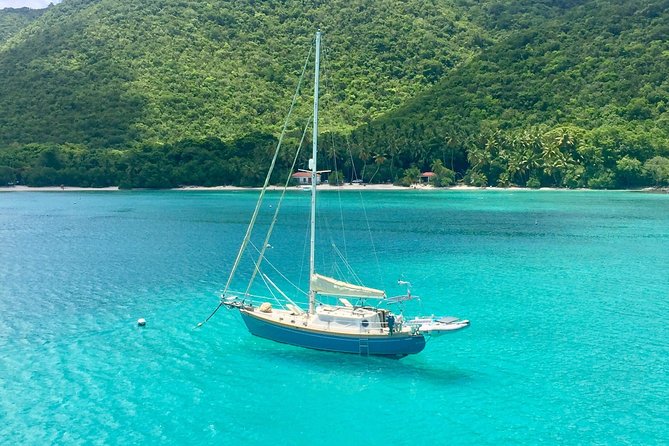 Sail/Snorkel Adventure from Sapphire Marina,STT NO CROWDS~ 6 GUEST MAX - What you may see beneath the surface
