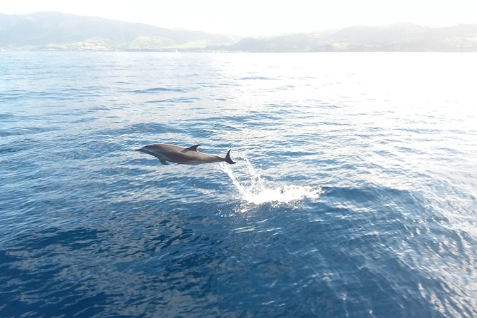 Sail/Snorkel Adventure from Sapphire Marina,STT NO CROWDS~ 6 GUEST MAX - A good choice for first-time snorkelers