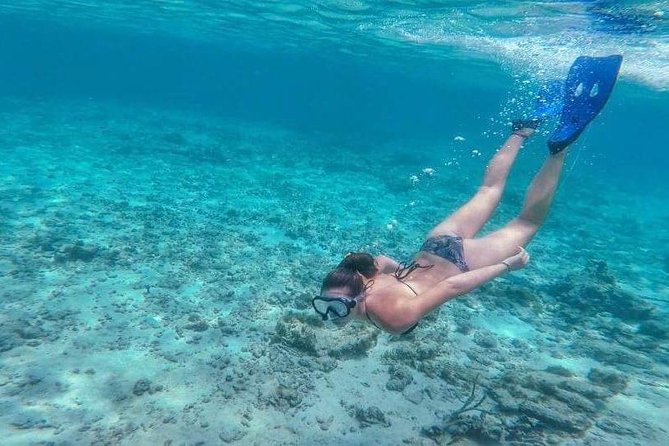 Sail/Snorkel Adventure from Sapphire Marina,STT NO CROWDS~ 6 GUEST MAX - Drinks, snacks, and the onboard mood