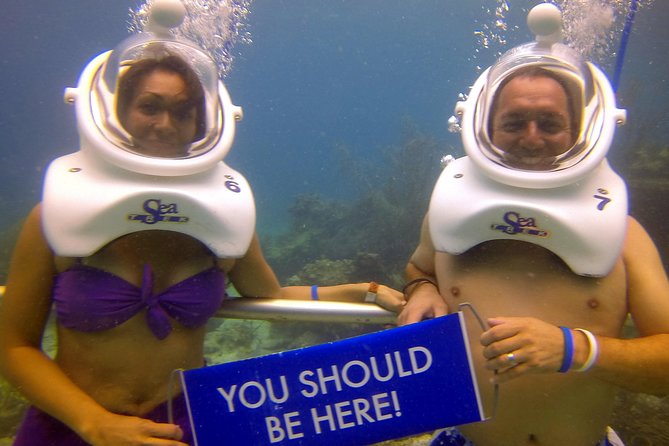 Sea Trek Helmet Dive at Coral World Ocean Park - What happens during the underwater walk