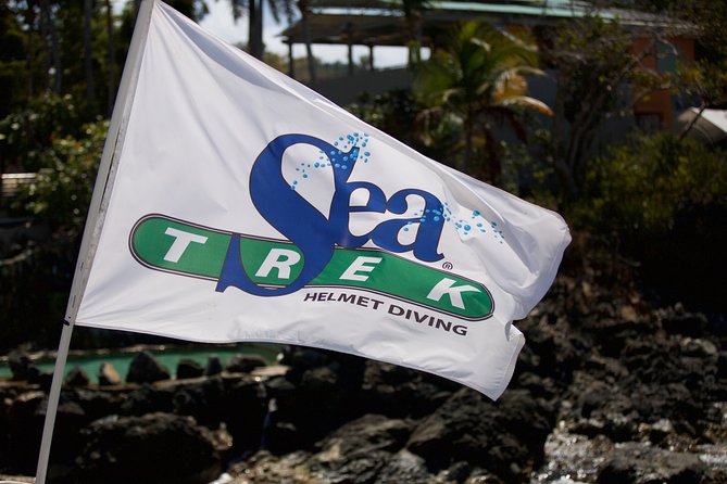 Sea Trek Helmet Dive at Coral World Ocean Park - Who should consider this experience?