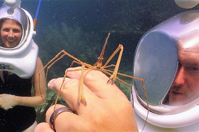 Sea Trek Helmet Dive at Coral World Ocean Park - Small details that can make the day better