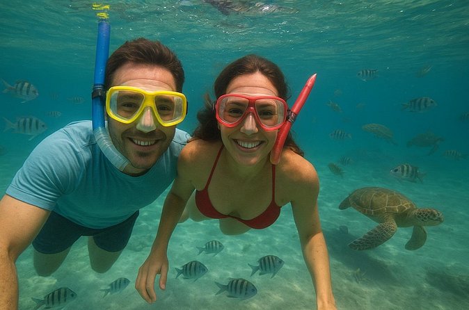 Sea Turtle Snorkel Tour - Coral Gardens Under Frederiksted Pier
