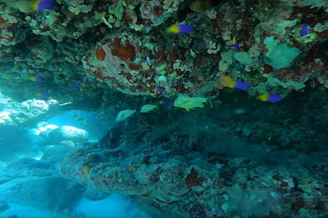 Secret Harbour Snorkel Trip from Cruise Ship - Who should book this beach trip?