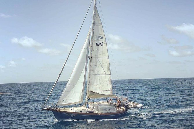 Simply Sailing Private Sail from Sapphire Marina - Key points about this Sapphire Beach sailing trip