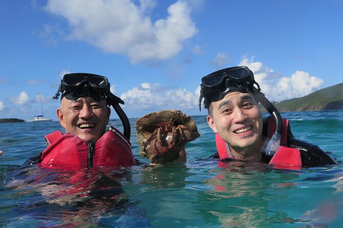 Small Group Sea Turtle Tour (Guaranteed to see turtles) - Why This St. Thomas Tour Works