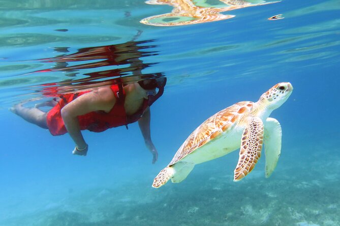 Small Group Sea Turtle Tour (Guaranteed to see turtles) - How Personal Is A Group Limited To 10?