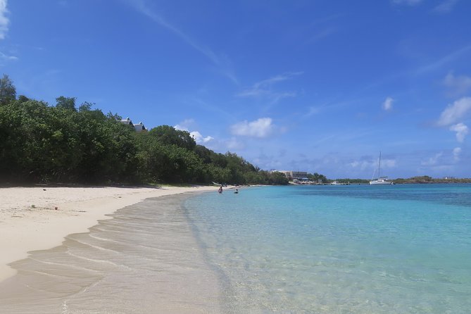 Small Group Sea Turtle Tour (Guaranteed to see turtles) - A Short Nature Walk Before The Water