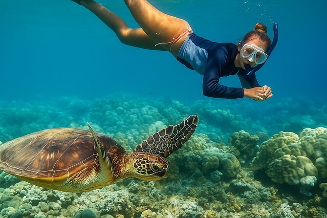 Snorkel and Sunset Cruise from Margaritaville Resort - The Nearby Cay Snorkel Stop