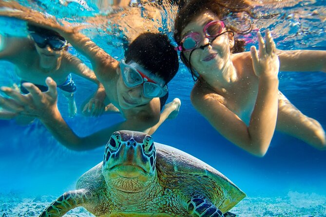 Snorkel and Sunset Cruise from Margaritaville Resort - Is $150 a Fair Price?