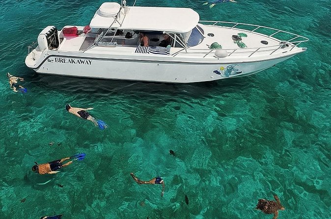 Snorkel St. John Tour from Sapphire and Margaritaville - What to bring for a better day