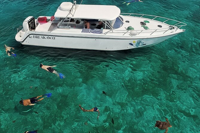 Snorkel St. John Tour from Sapphire and Margaritaville - Is $180 a fair price?