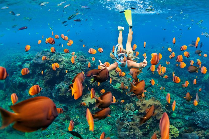 Snorkel & Swim with Turtles. Semi Private Tour to Buck Island & Honeymoon Beach - Key Details Before You Book