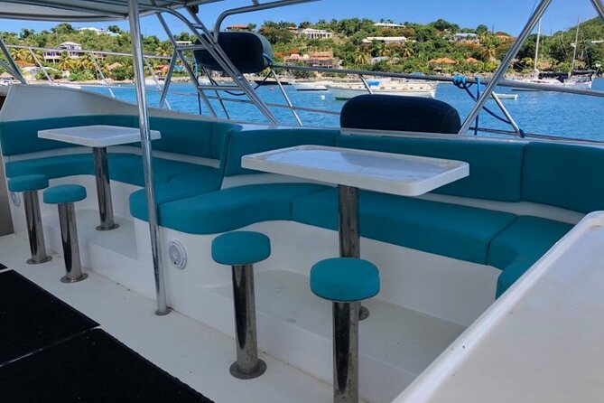 Snorkel & Swim with Turtles. Semi Private Tour to Buck Island & Honeymoon Beach - Who Will Enjoy This Charter Most
