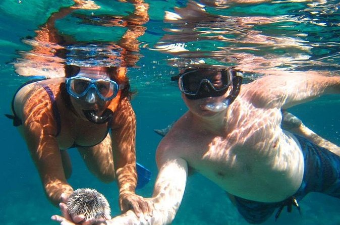 Snorkel Tour - Leaving Secret Harbour at 8:30 in the morning