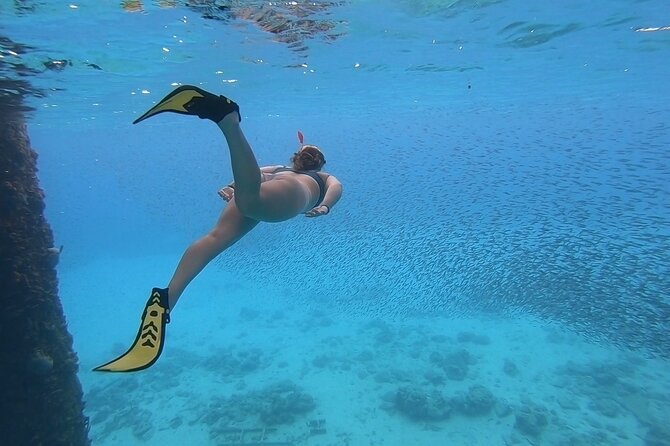 Snorkeling Gear Rental - What arrives in the snorkeling kit