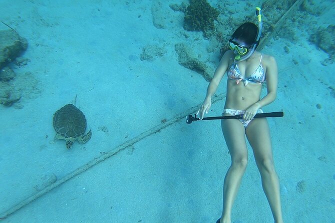 Snorkeling Gear Rental - Who will get the most from this rental