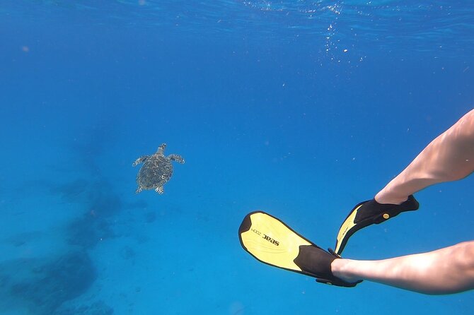 Snorkeling Gear Rental - Delivery to Frederiksted, hotels, and the east end