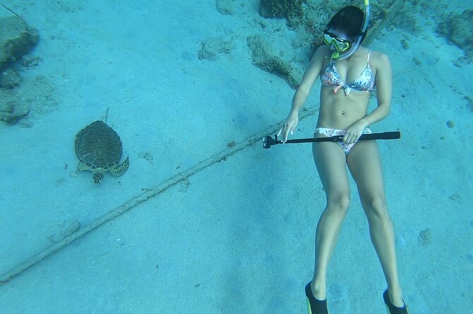 Snorkeling with Sea Turtles - Key points about snorkeling at Frederiksted