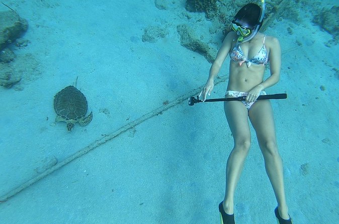 Snorkeling with Sea Turtles - Brandon, Joe, and the local guiding style