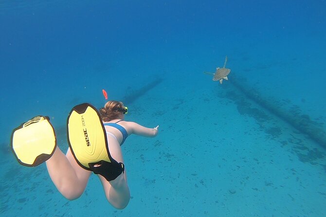 Snorkeling with Sea Turtles - Rainbow Beach as an all-day base