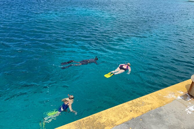 Snorkeling with Sea Turtles - Location changes and why you should confirm