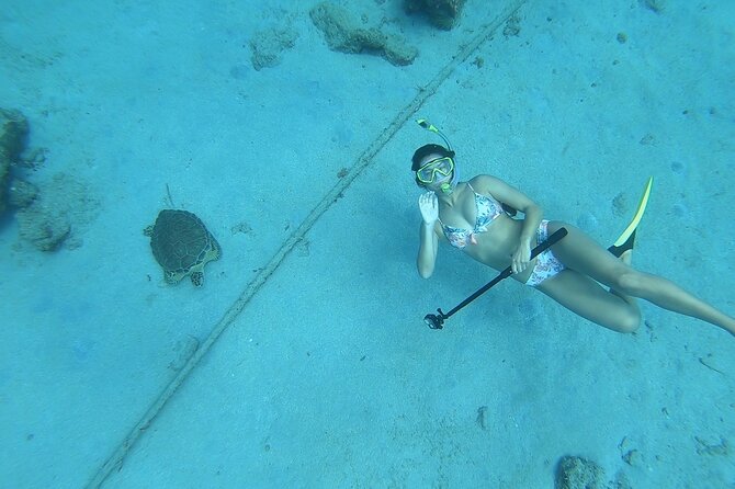 Snorkeling with Sea Turtles - Who will get the most from this outing
