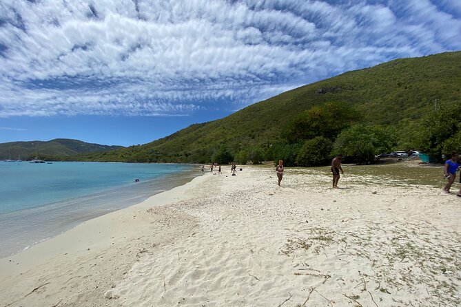 Snorkeling with Sea Turtles at St. Thomas - Marine life beyond the turtles