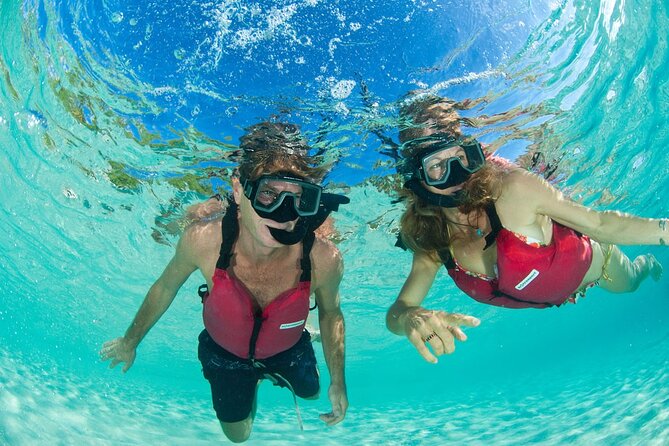 Snorkeling with Sea Turtles at St. Thomas - Thirty minutes to slow down on the sand