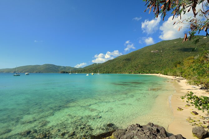 Snorkeling with Sea Turtles at St. Thomas - Who should book this experience?