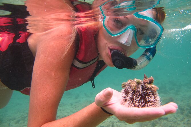 Snorkeling with Sea Turtles at St. Thomas - Finding green turtles over the seagrass