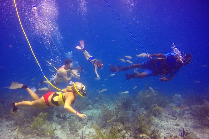 Snuba Adventure at Coral World Ocean Park - The 30-minute underwater session