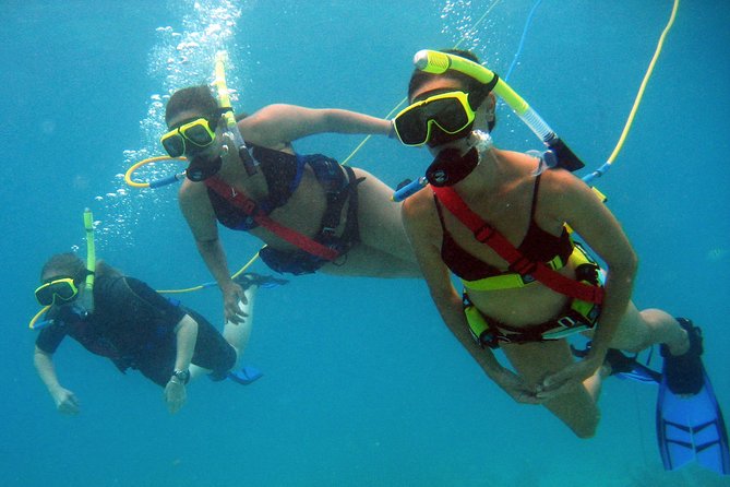 Snuba Adventure at Coral World Ocean Park - Coral World admission makes the day more useful