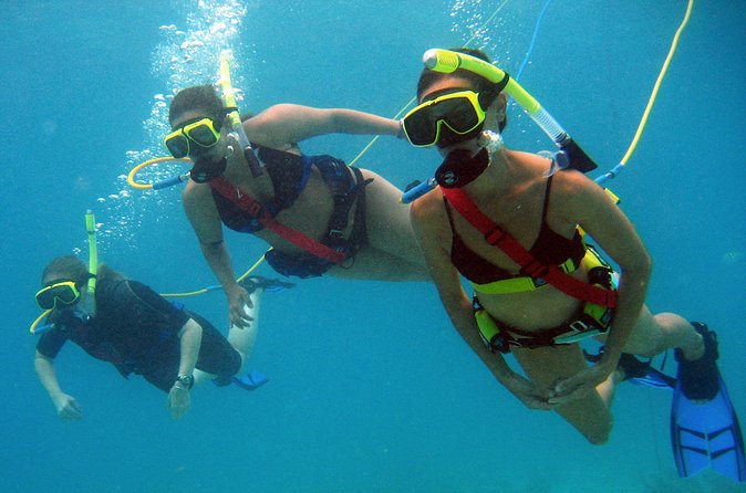 Snuba Adventure at Coral World Ocean Park - Getting to Coral World from the cruise port