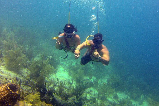 Snuba Adventure at Coral World Ocean Park - Is $102 a fair price?