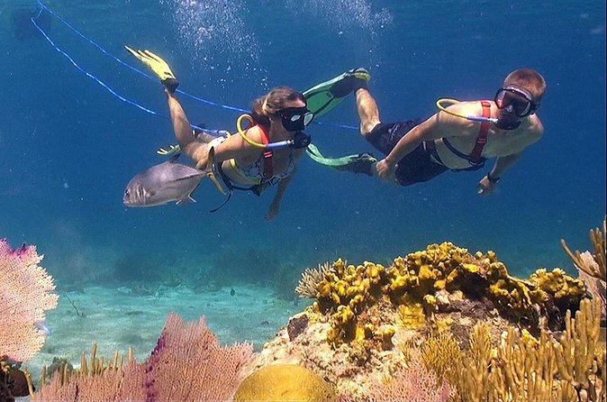 Snuba Adventure at Coral World Ocean Park - Weather can make or break the outing