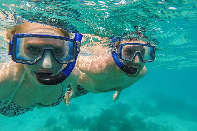 St. John Full-Day Lime Out Snorkel Taco Lunch & Open Bar - Westin - Lime Out brings the main event