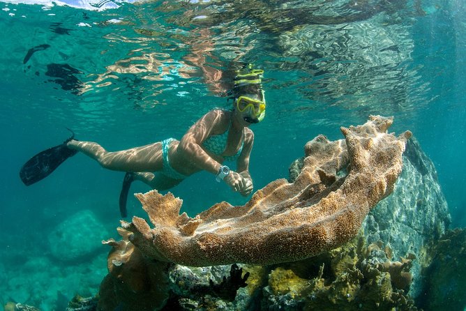 St. John Full-Day Lime Out Snorkel Taco Lunch & Open Bar - Westin - Is $179 a good value?