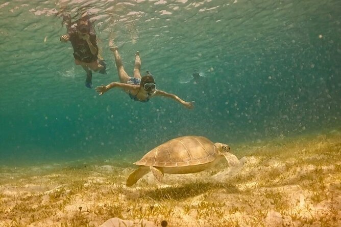 St John -Jeep Ride with A Guide! Customize Itinerary Your Way! - What the guide adds to a flexible day