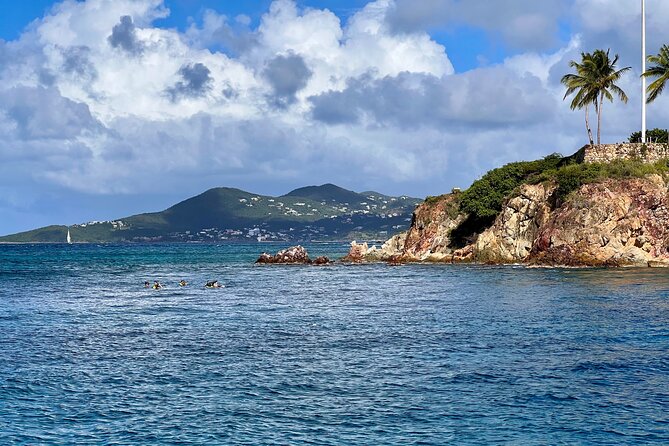 St. John Luxury Catamaran Turtle Snorkel and Cays Full Day - Turtles, rays, sharks, and realistic wildlife expectations