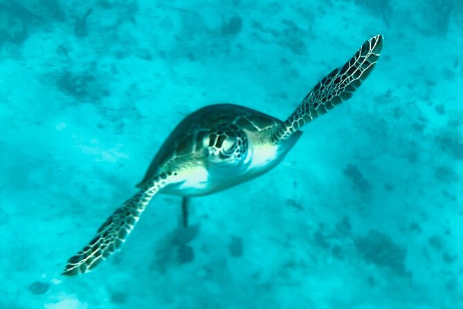 St. John Luxury Catamaran Turtle Snorkel and Cays Full Day - Is $250 per person a fair price?