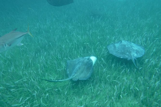 St John & Surrounding Cays - Full-Day Sail/Snorkel, 6 Guests Max - Lunch between stops