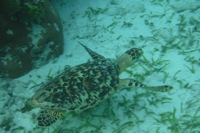 St John & Surrounding Cays - Full-Day Sail/Snorkel, 6 Guests Max - A second and sometimes third water stop
