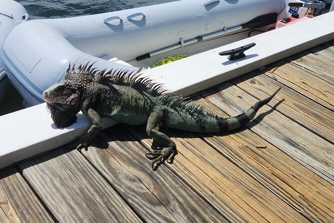 St Thomas - Jeep Tour Customized Itinerary 5hrs - Magens Bay and the beach portion of the day
