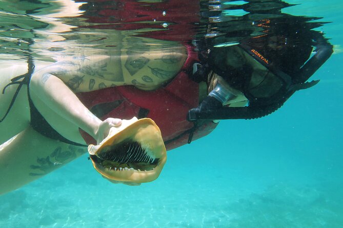 St Thomas Kayak and Sea Turtle Snorkel Excursion - Starting at Emerald Beach Resort