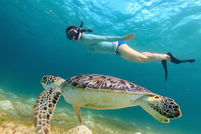 St. Thomas Maho Bay Turtle Snorkel Sail - Ritz-Carlton - Maho Bay: your best chance for turtle sightings