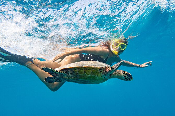 St Thomas Mangrove Lagoon Kayak and Snorkel Tour in the US Virgin Islands - Watching rays beneath the kayak